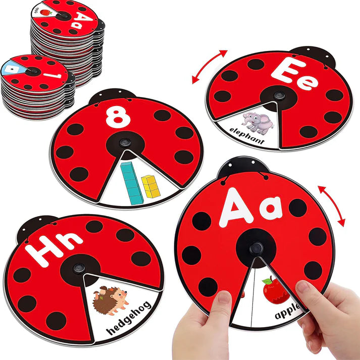 Montessori Spinning Flash Cards